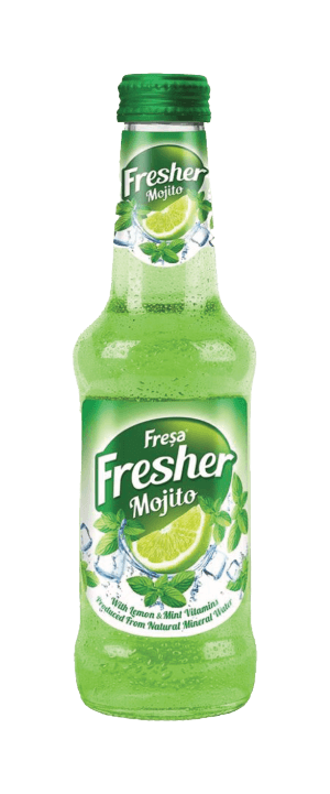 Fresher Mojito 250 ML (1X24)