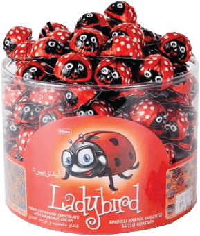 Lady Bird 8 GR (100X8)