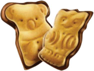 Choco Zoo Biscuiti 1.7KG